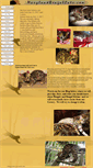 Mobile Screenshot of marylandbengalcats.com