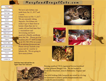 Tablet Screenshot of marylandbengalcats.com